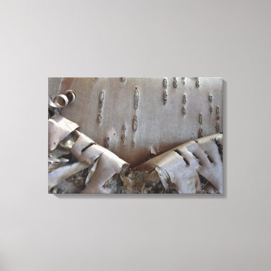 Curly Birch Bark Tree Rustic Canvas Afdruk (Voorkant)