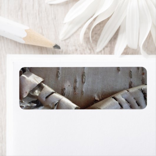 Curly Birch Bark Tree Rustic Etiket (Insitu)