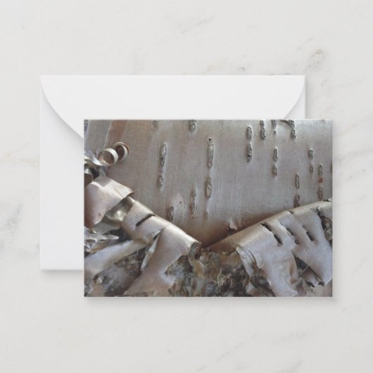 Curly Birch Bark Tree Rustic Flat Note Card Notitiekaartje (Voorkant)