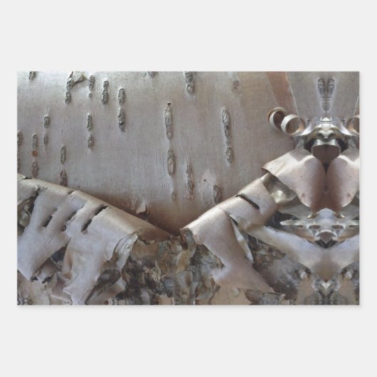 Curly Birch Bark Tree Rustic Inpakpapier Vel (Voorkant 2)