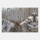 Curly Birch Bark Tree Rustic Inpakpapier Vel (Voorkant)