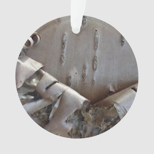 Curly Birch Bark Tree Rustic Ornament (voorkant)