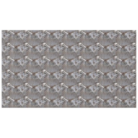 Curly Birch Bark Tree Rustic Tablecloth Tafelkleed (Voorkant (Horizontaal))
