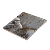 Curly Birch Bark Tree Rustic Tegeltje (Zijkant)