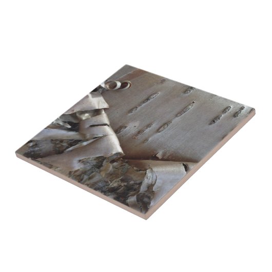 Curly Birch Bark Tree Rustic Tegeltje (Zijkant)
