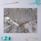 Curly Birch Bark Tree Rustic Tissuepapier (Craft)