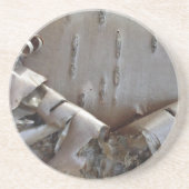 Curly Birch Bark Tree Rustic Zandsteen Onderzetter (Voorkant)