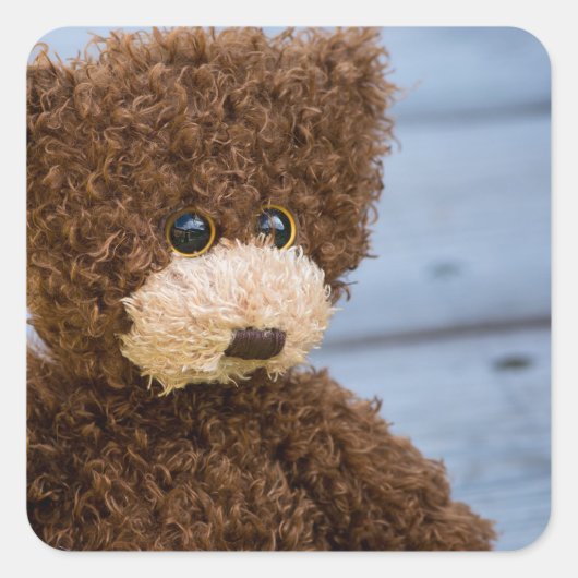 Curly Brown Teddy Bear Vierkante Sticker (Voorkant)