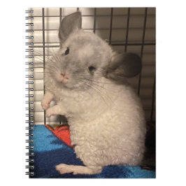 Curly Chinchilla spiral Notitieboek