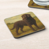 Curly Coasted Retriever Bier Onderzetter (Linkerzijde)