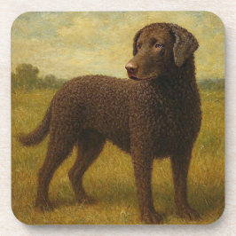 Curly Coasted Retriever Bier Onderzetter