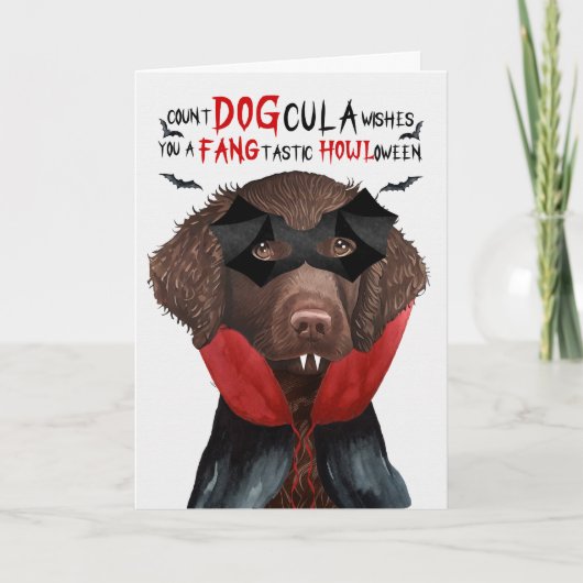 Curly Coat Retriever Grappig Count DOGcula Hallowe Feestdagen Kaart (Voorkant)