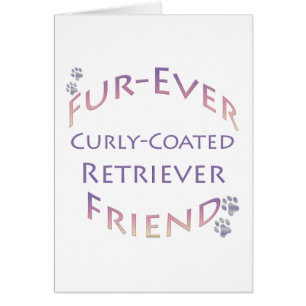 Curly-Coated Retriever