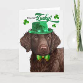 Curly Coated Retriever Dog Lucky St Patrick's Day Feestdagen Kaart