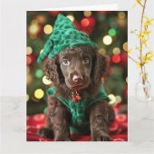Curly-Coated Retriever Elf Puppy Kerst Kaart (Gele Bloem)
