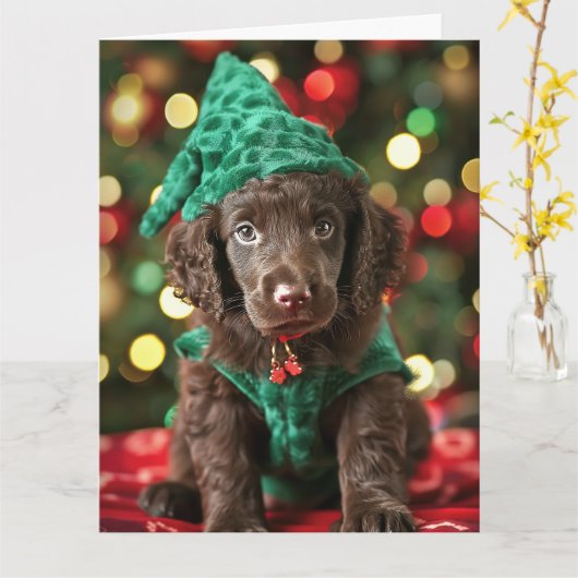 Curly-Coated Retriever Elf Puppy Kerst Kaart (Gele Bloem)