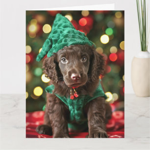 Curly-Coated Retriever Elf Puppy Kerst Kaart