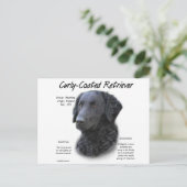 Curly-Coated Retriever Geschiedenis Ontwerp Briefkaart (Staand voorkant)