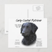 Curly-Coated Retriever Geschiedenis Ontwerp Briefkaart (Voorkant / Achterkant)
