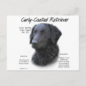 Curly-Coated Retriever Geschiedenis Ontwerp Briefkaart (Voorkant)