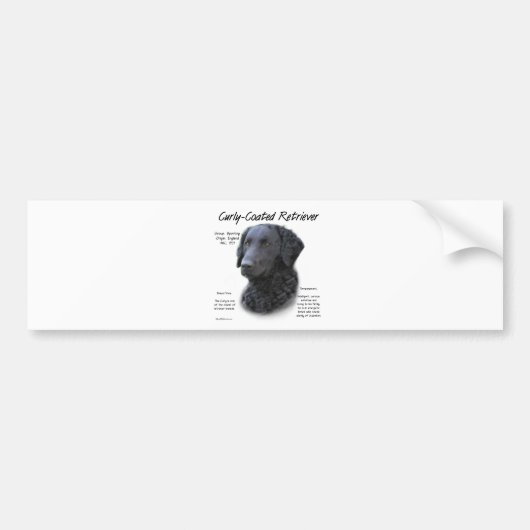 Curly-Coated Retriever Geschiedenis Ontwerp Bumpersticker (Voorkant)