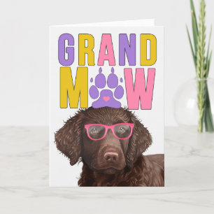 Curly Coated Retriever Hond Grappige Grootouders D Feestdagen Kaart