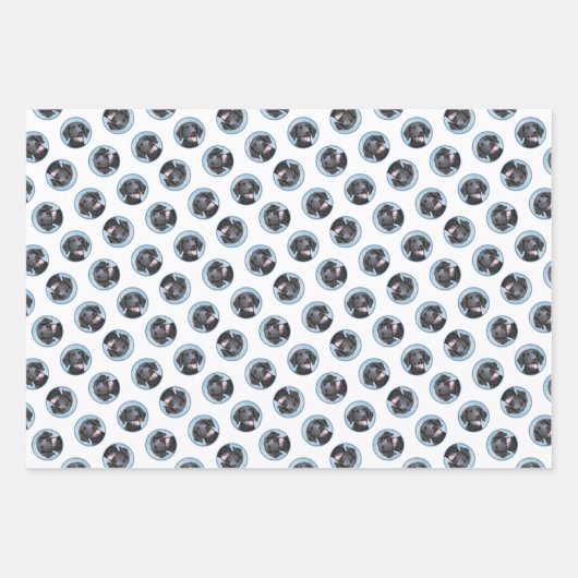 Curly-Coated Retriever Schilderen Originele Hond A Inpakpapier Vel (Voorkant 2)