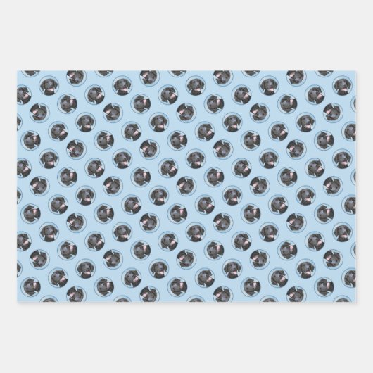 Curly-Coated Retriever Schilderen Originele Hond A Inpakpapier Vel (Voorkant)