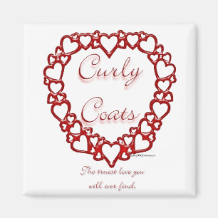 Curly-Coated Retriever True Love Magneet