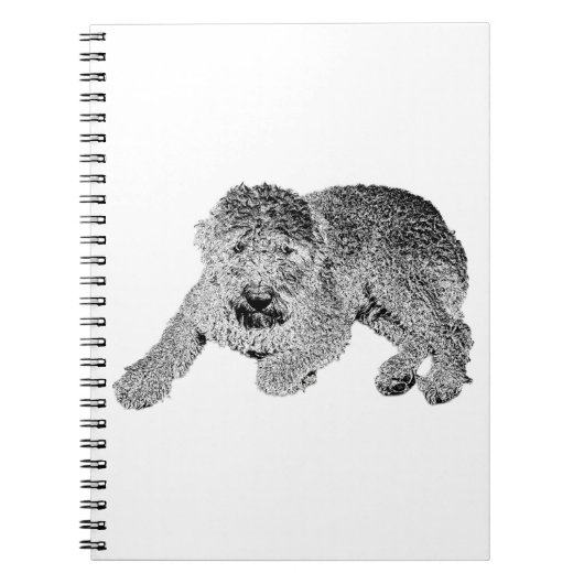 Curly Dog Notebook – Lying Pose in Black & White Notitieboek (Voorkant)