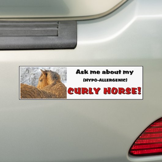 Curly Horse Bumpersticker 1 (Op auto)