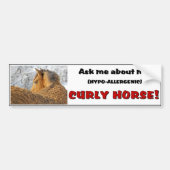 Curly Horse Bumpersticker 1 (Voorkant)