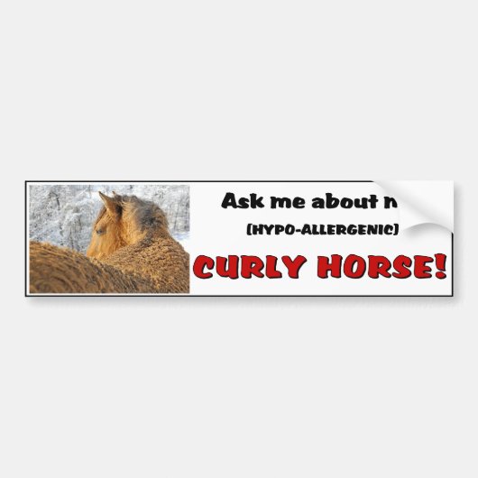 Curly Horse Bumpersticker 1 (Voorkant)