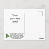 Curly Parsley Herb-Briefkaart aanpassen Briefkaart (Achterkant)