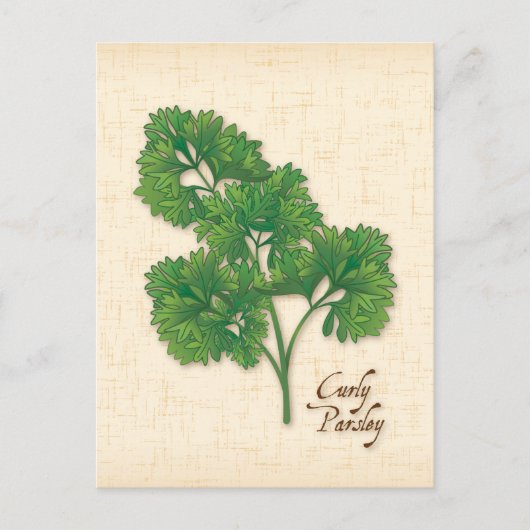 Curly Parsley Herb-Briefkaart aanpassen Briefkaart (Voorkant)