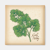 Curly Parsley Herb Magneet (Voorkant)