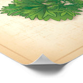 Curly Parsley Herb Poster (Hoek)