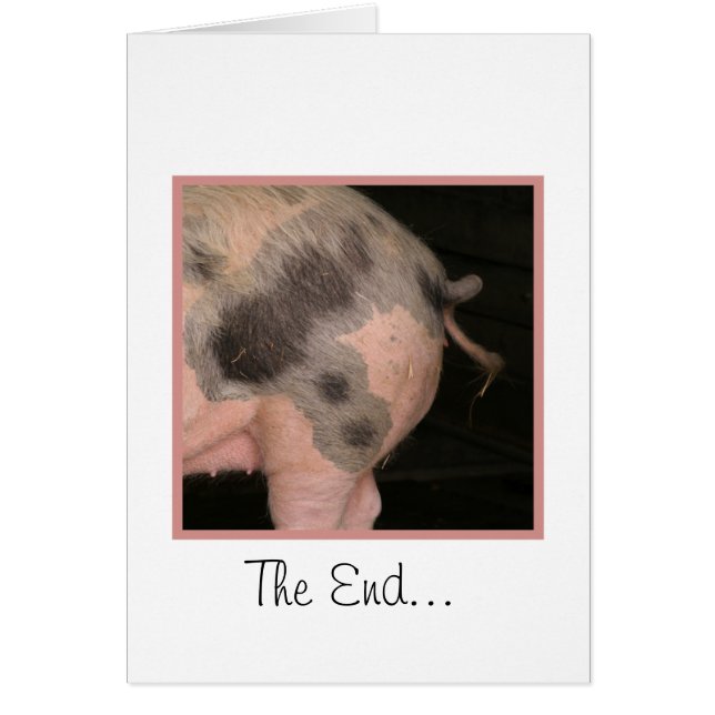 Curly Piggy Tail (Voorkant)