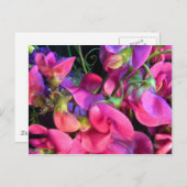 Curly Que Briefkaart (Voorkant / Achterkant)