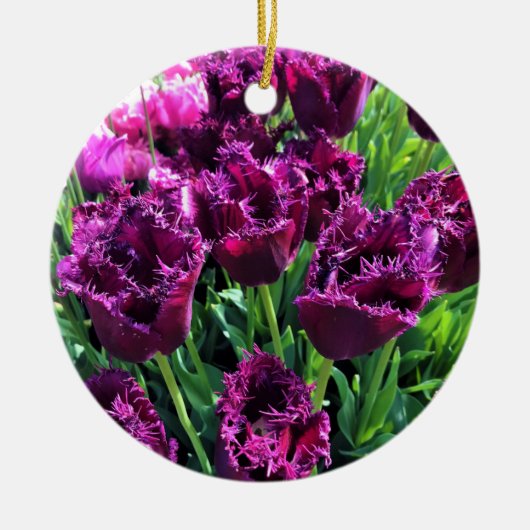 Curly Sue Paarse Tulips, Oregon Keramisch Ornament (Voorkant)