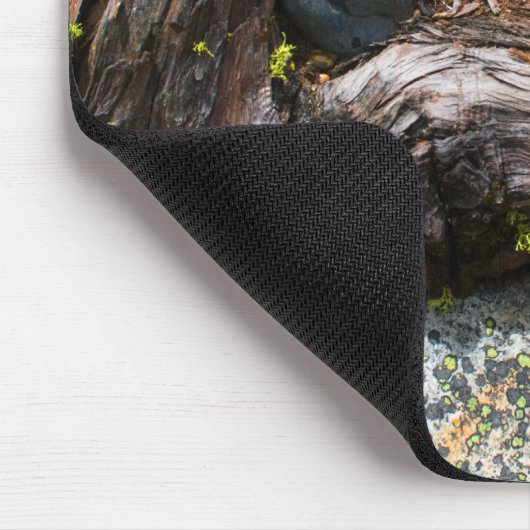 Currents Photo Mousepad Muismat (Hoek)