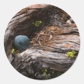 Currents Sticker (Voorkant)