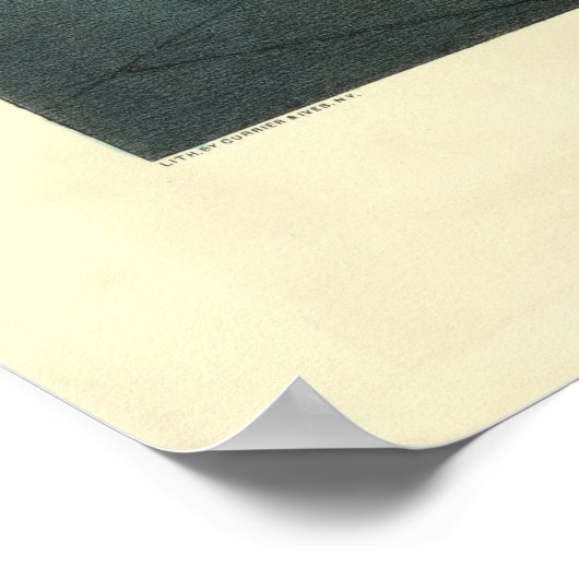 Currier en ik heb het Amerikaanse vuurman Poster (Hoek)