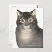 Currier & Ives Cat Schattigee Victoriaans kunst Briefkaart (Voorkant / Achterkant)