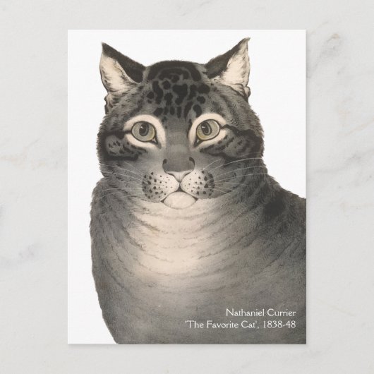 Currier & Ives Cat Schattigee Victoriaans kunst Briefkaart (Voorkant)