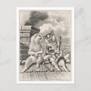 Currier & Ives Cat Serenade Briefkaart