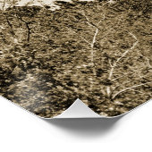 Currituck Lighthouse Poster (Hoek)