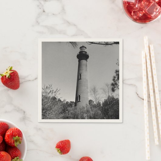 Currituck Lighthouse Servet (Insitu)