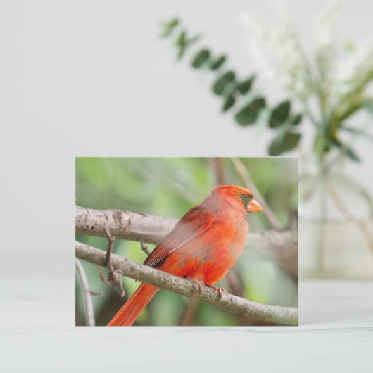 Cursief Briefkaart (Staand voorkant)