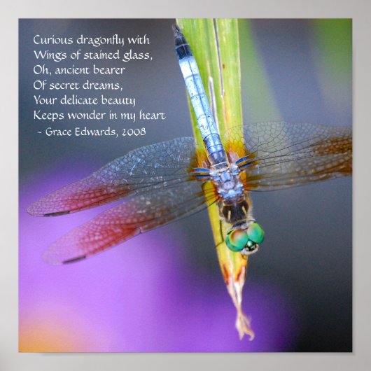 Cursief Dragonfly-gedicht - poster/afdruk Poster (Voorkant)